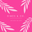 Online Ladies Clothing Store in Ghana logo