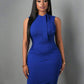 Solid color sleeveless bodycon dress in blue