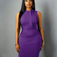 Solid color sleeveless bodycon dress in purple